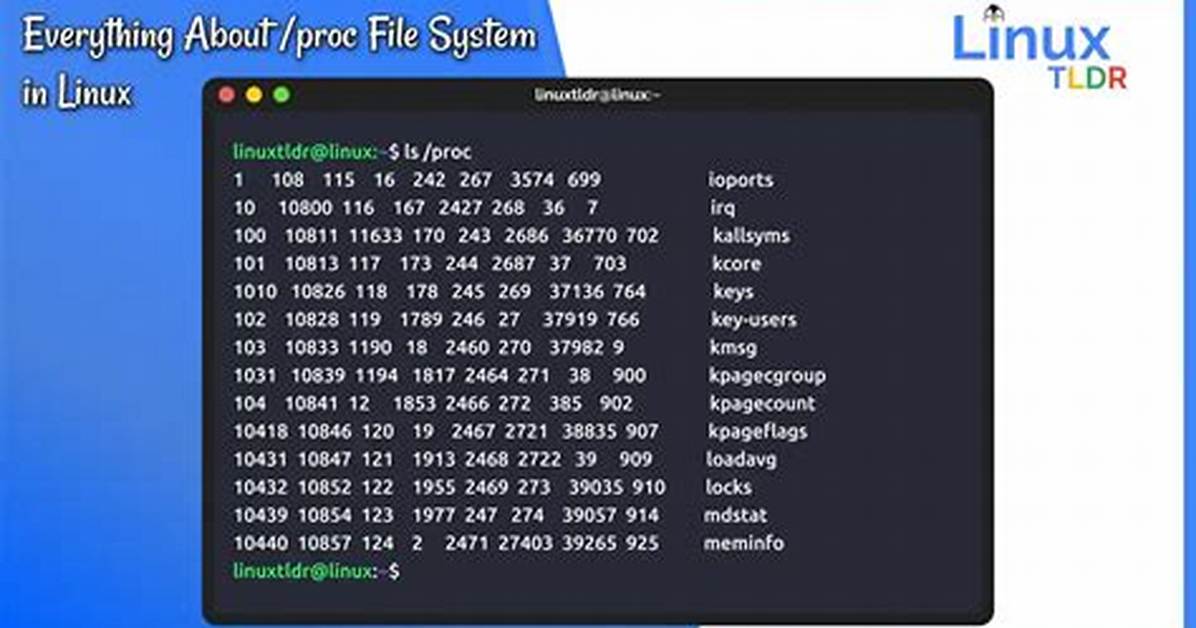 Where Is Proc in Linux?