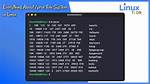 Where Is Proc in Linux?