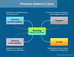 Where Is Process Running Linux?