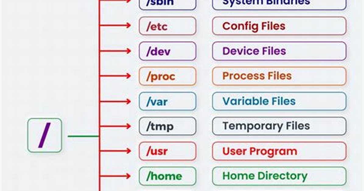 Where Is Program Files in Linux?