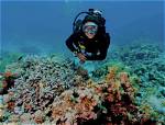 Where Is Scubastore. Com Based?