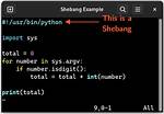 Where Is Shebang Written in a Python File?