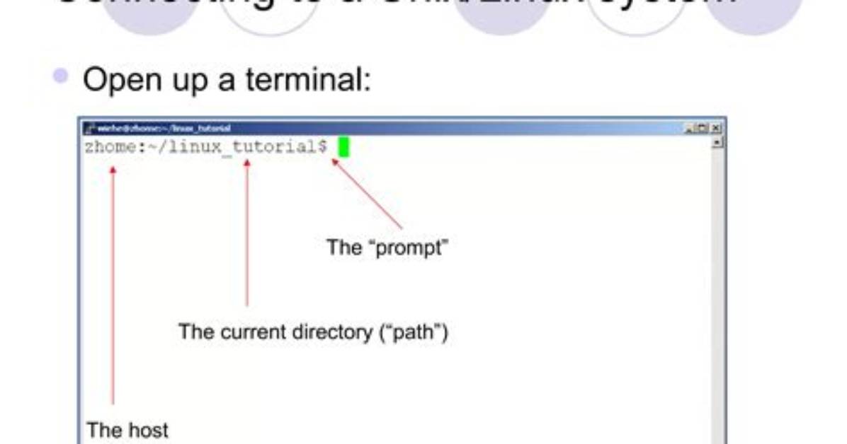Where Is Sqlplus Path in Unix?