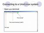 Where Is Sqlplus Path in Unix?