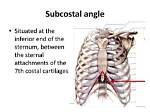 Where Is Subcostal Angle?