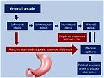 Where Is Subserosal Plexus?