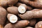 Where Is Tapioca Grown?