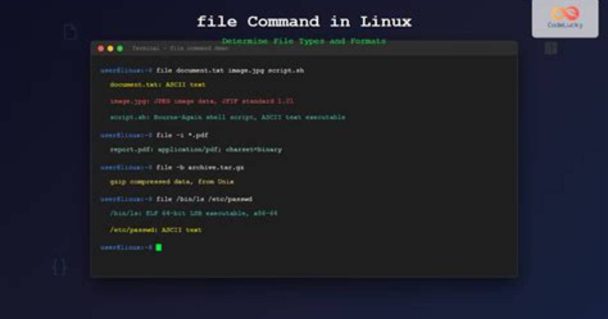 Where Is the Command Located in Linux?