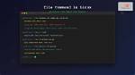 Where Is the Command Located in Linux?