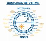 Where Is the "Sleeping in the Elements!" Shard?