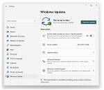 Where Is the Windows Update Button?