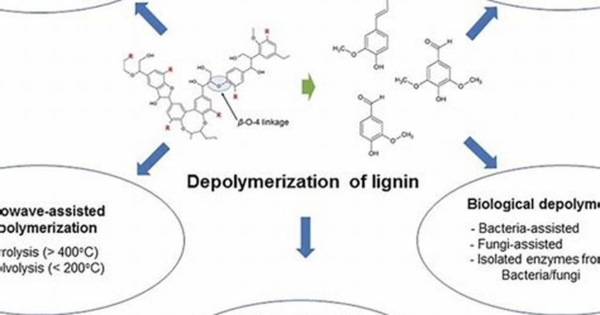Where Is Thermal Depolymerization Used?