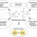 Where Is Thermal Depolymerization Used?