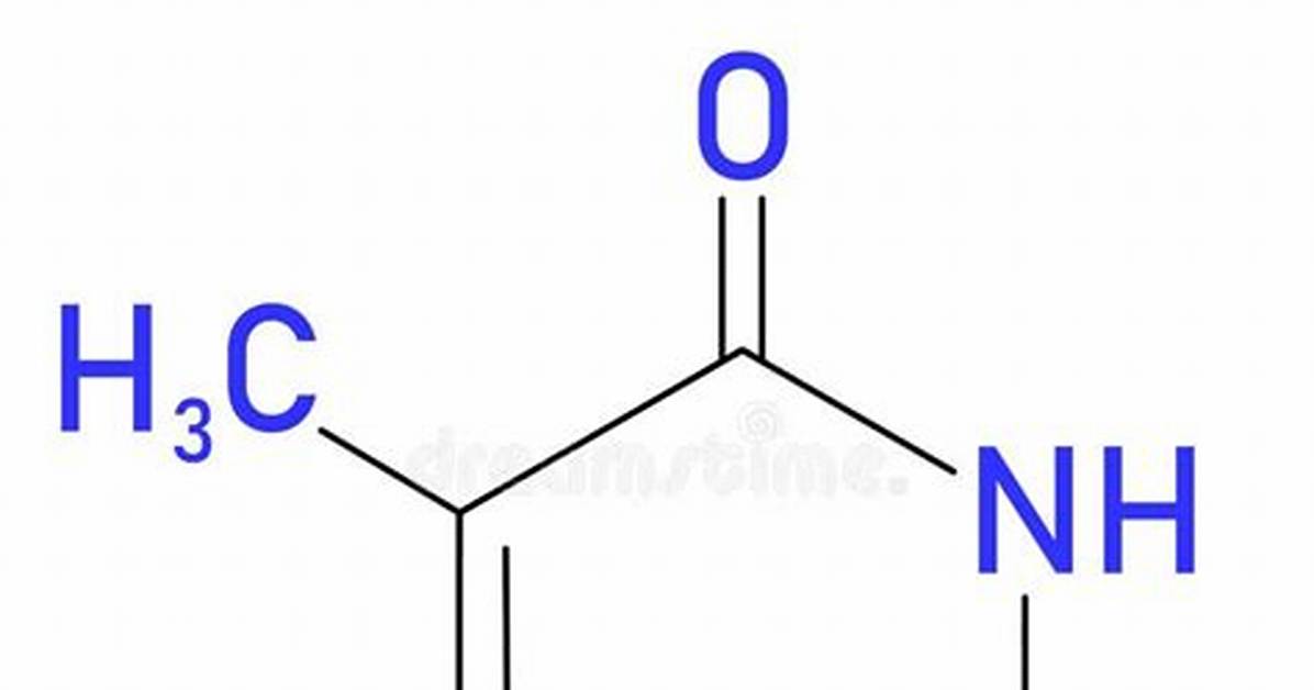 Where Is Thymine Present?