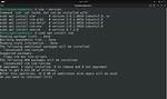 Where Is Vim Installed on Linux?