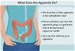 Where Is Your Appendix?