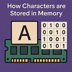 Where Memory Is Stored?