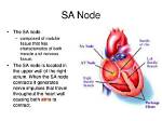 Where Sa Node Located?