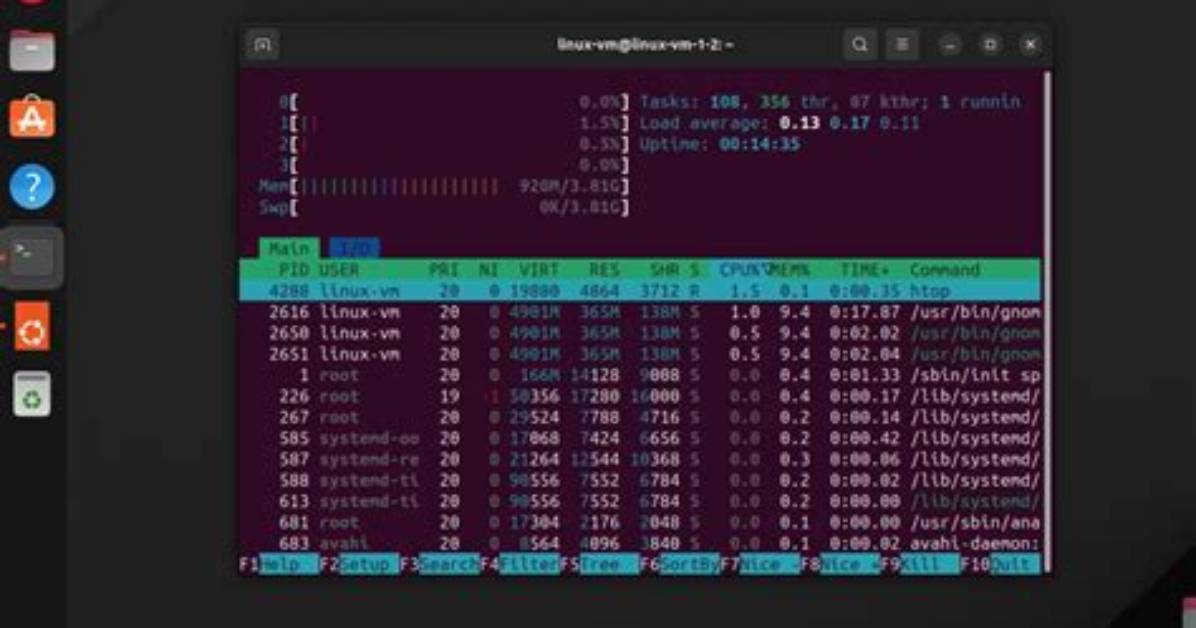 Where Should I Put Programs in Linux?