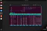 Where Should I Put Programs in Linux?