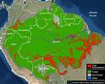 Where Situated Amazon Forest?