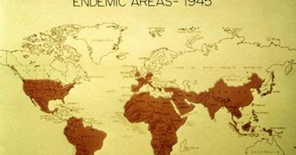 Where Smallpox Come from?