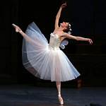 Where the Ballet Performs?