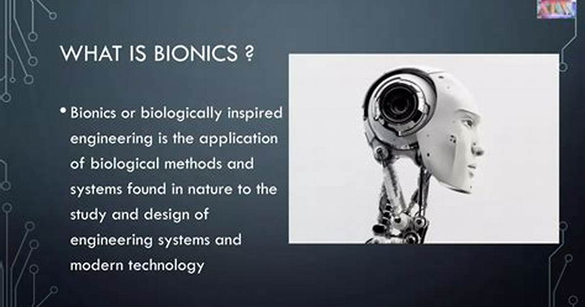 Where to Study Bionics?