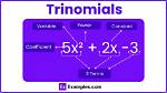 Which Algebraic Expression Is a Trinomial?