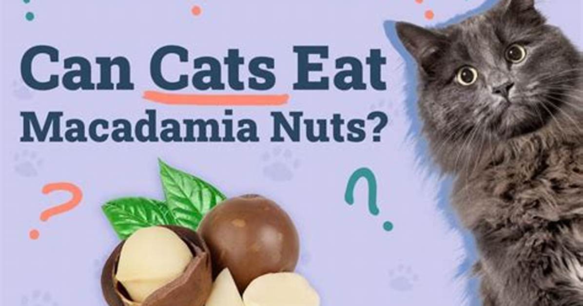 Which Animal Eats Macadamia Nuts?