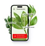 Which App Identifies Plants?