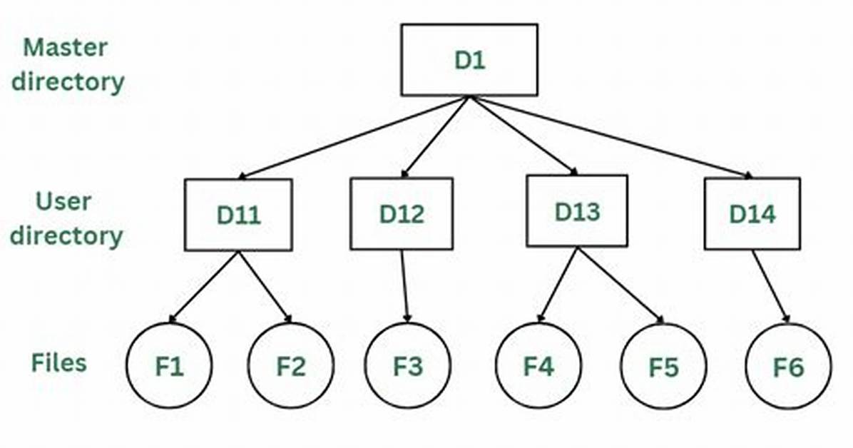 Which Are Directory Structure?