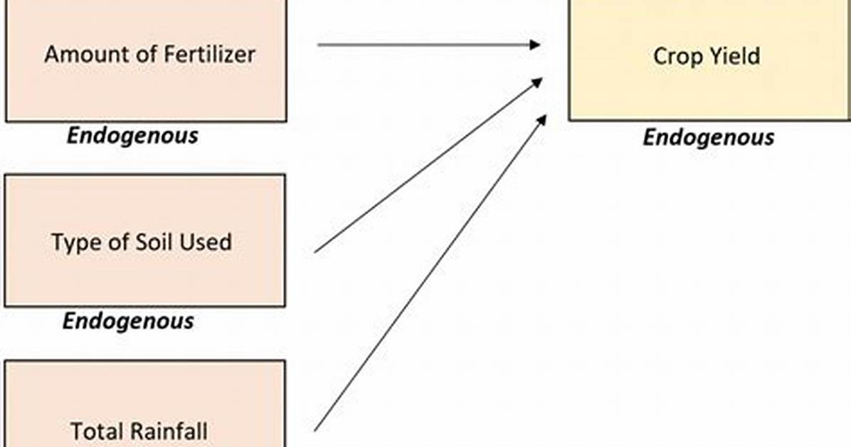 Which Are Endogenous Variable?