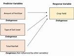 Which Are Endogenous Variable?