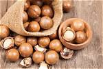 Which Are Macadamia Nuts?