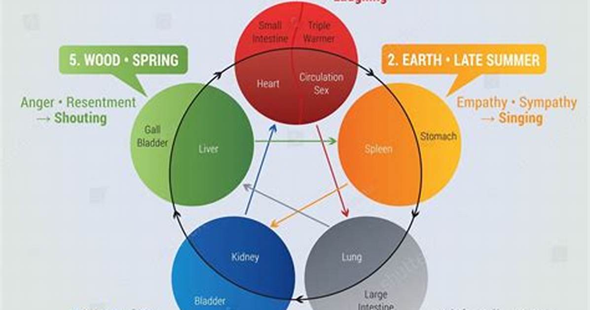 Which Are the Five Elements?