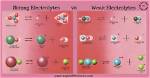 Which Are Weak Electrolytes?