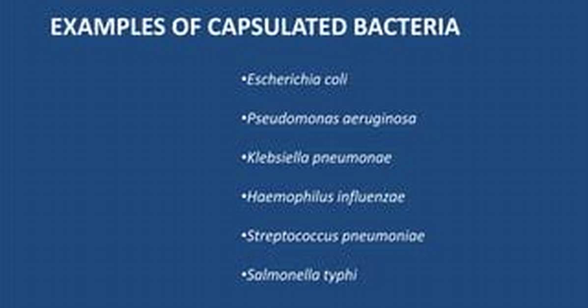Which Bacteria Are Capsulated?