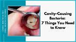 Which Bacteria Causes Cavities?