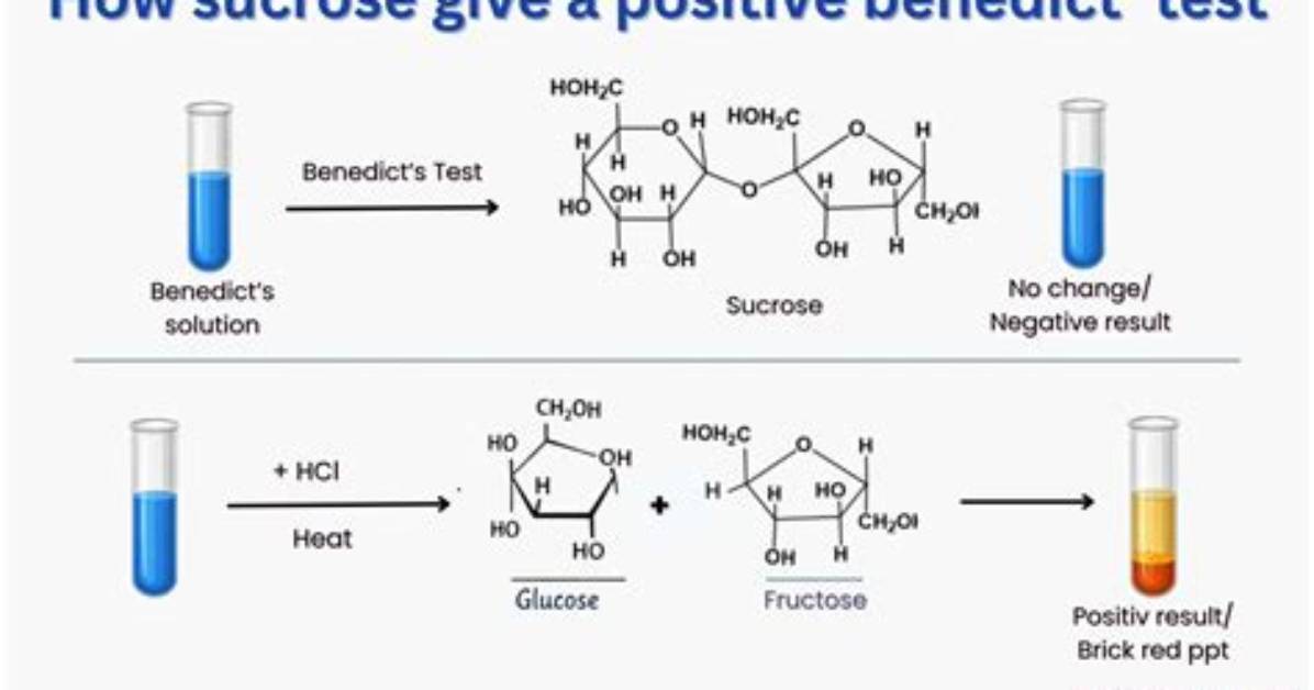 Which Biomolecule Does Benedict's Solution Test for?