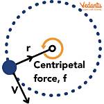Which Centripetal Force Acts?