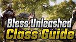 Which Class Bless Unleashed?