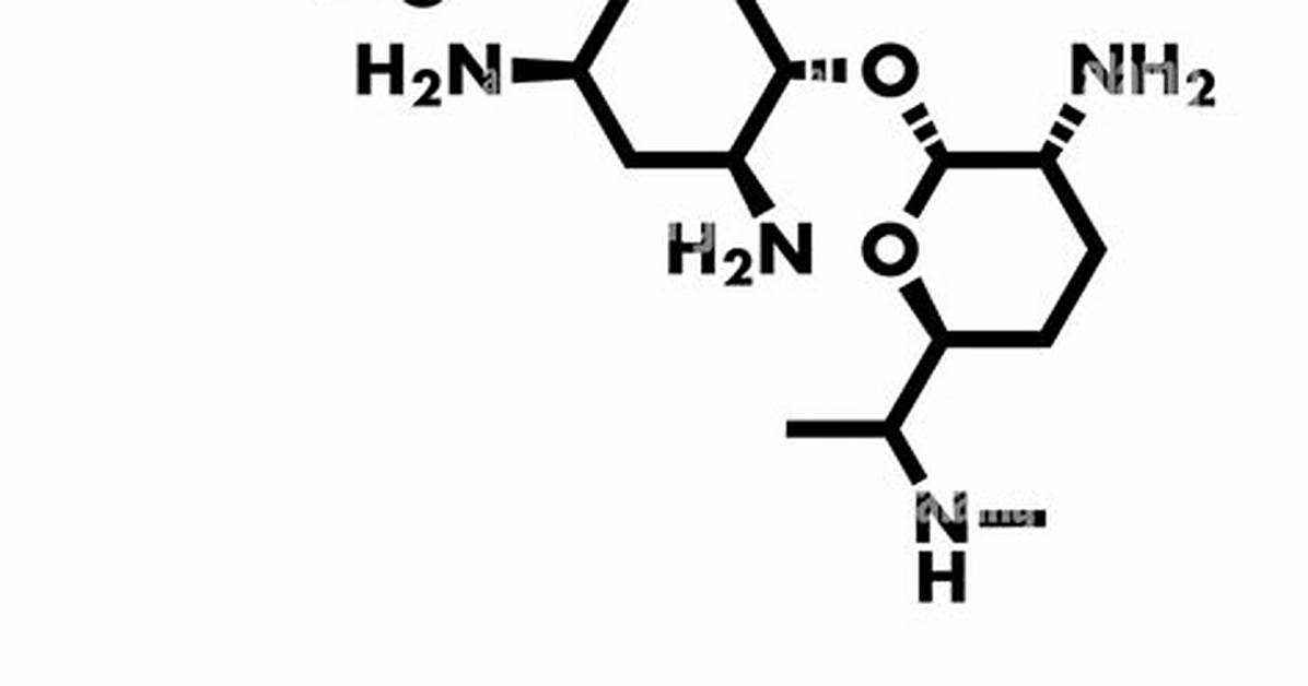 Which Class Is Gentamicin?