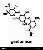 Which Class Is Gentamicin?
