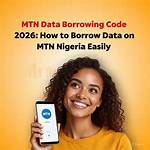 Which Code to Borrow Data from Mtn?