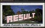 Which Codecs Support Alpha Channel?