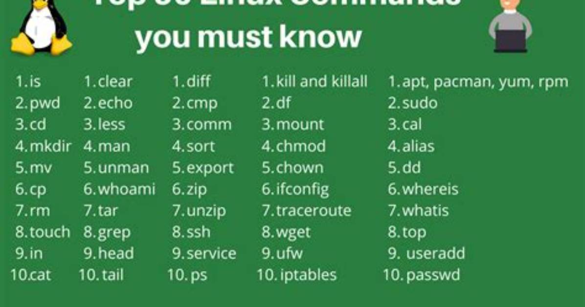 Which Command in Linux with Examples?