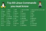Which Command in Linux with Examples?