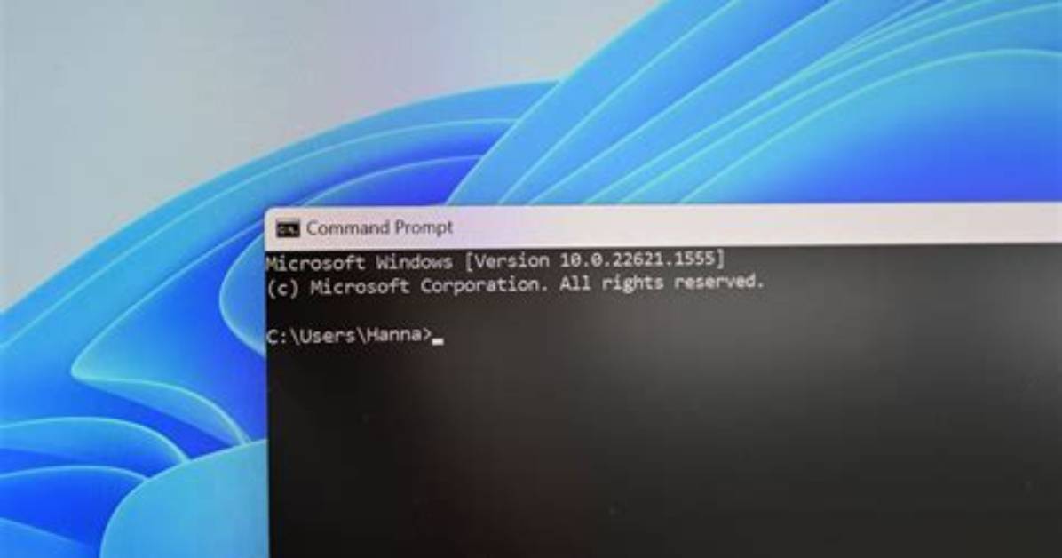 Which Command Is Used to Display Variable Values in Linux?