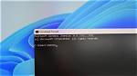 Which Command Is Used to Display Variable Values in Linux?
